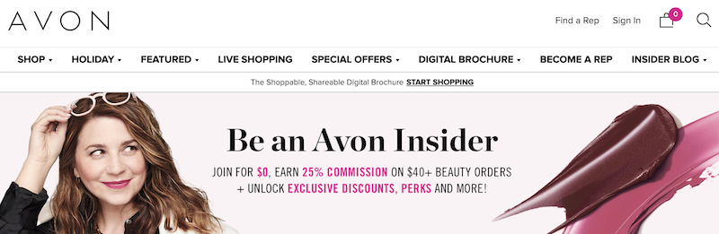 Homepage for one of the beauty affiliate programs.